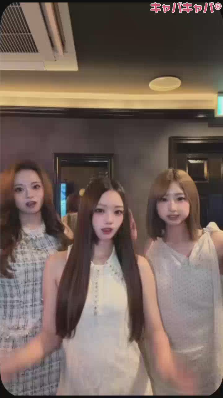 一条 葵