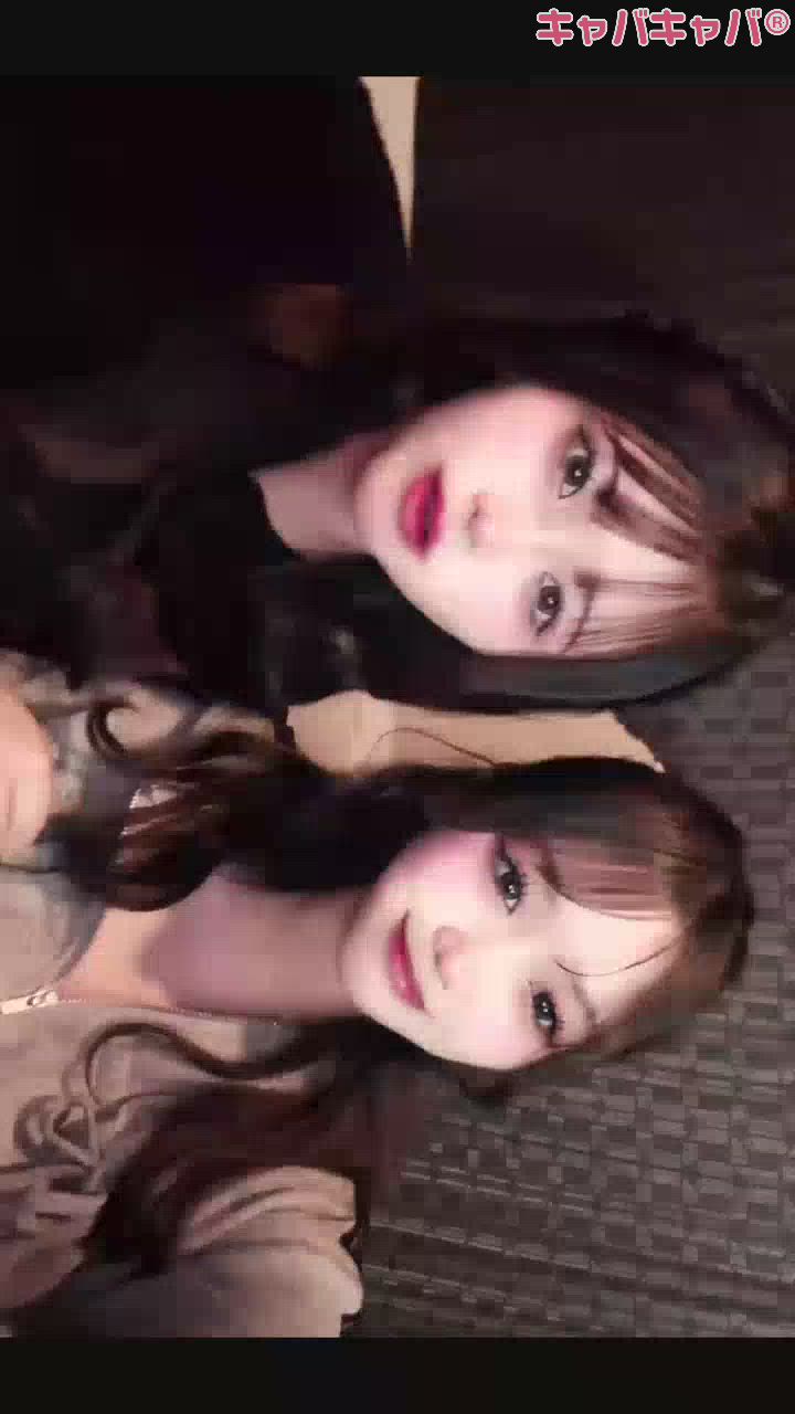 一条 葵