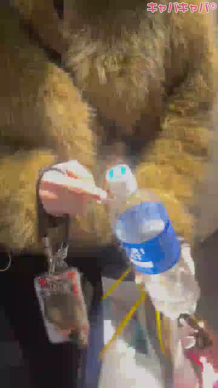 和風パブ 和っ笑居日記1573024