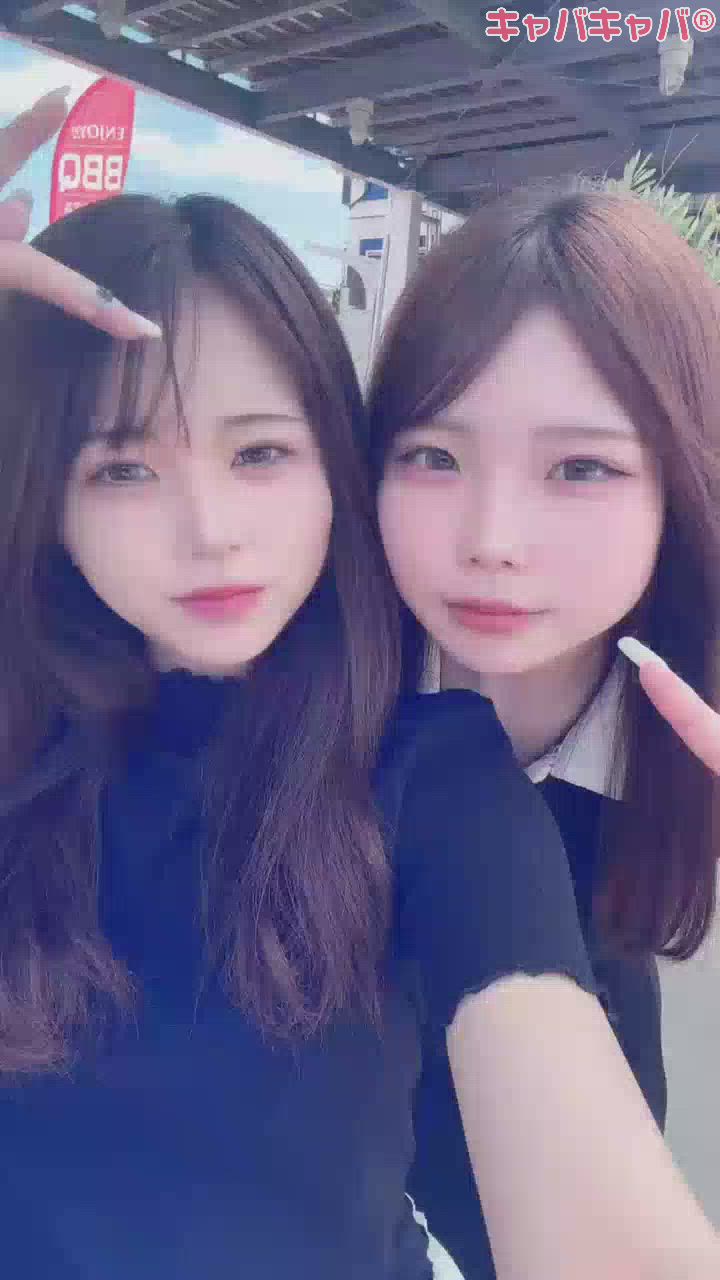 一条 葵