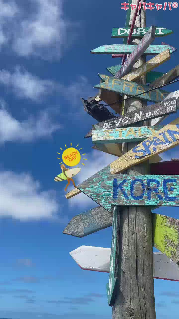 アウトドア派の人～🙋‍♀️！