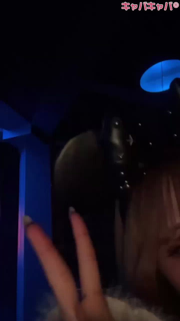 一条 葵