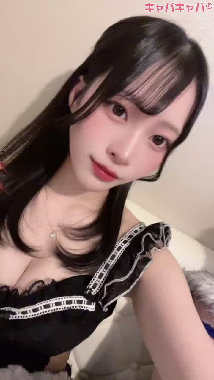 コンセプトカフェ あにまる宮殿日記1514346