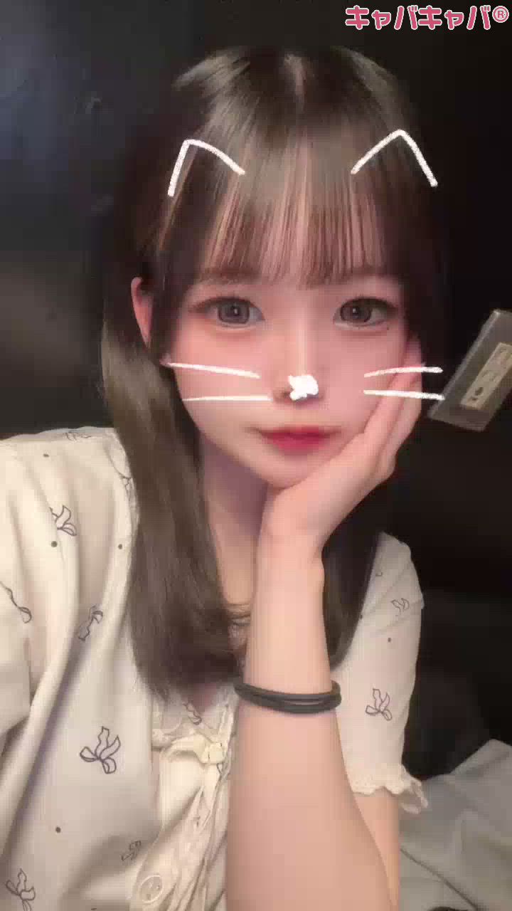 ねこさん