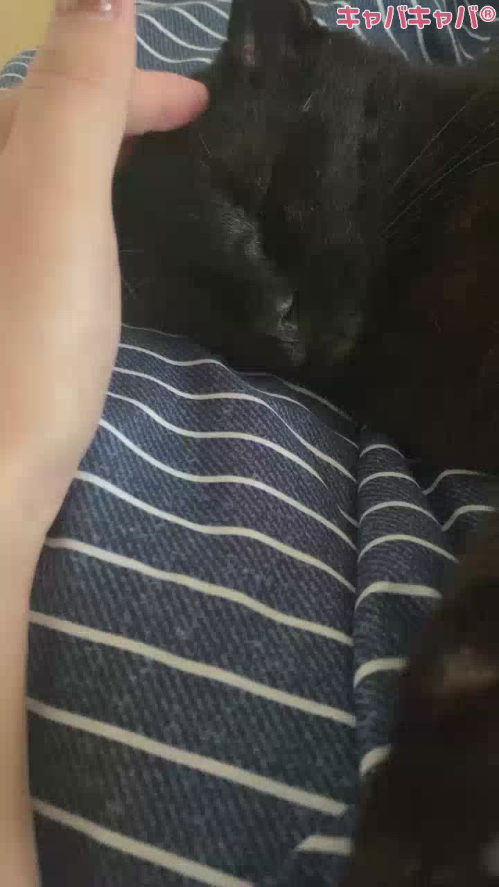 嘘はついたらだめって小学生でもわかる。