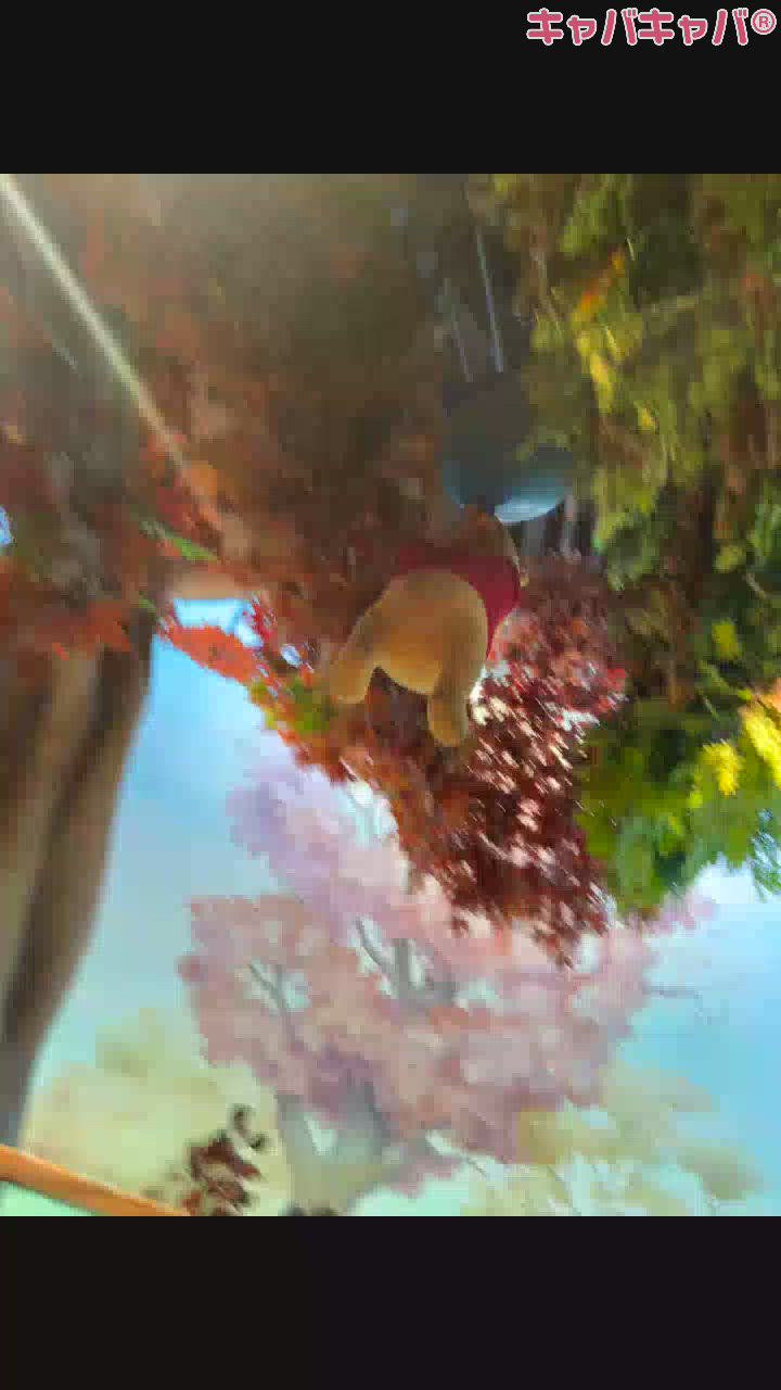 おはよーひき肉です⊂( ᴖ  ̫ ᴖ )⊃