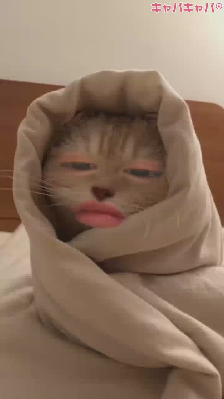 スナックBar Peace日記1540163