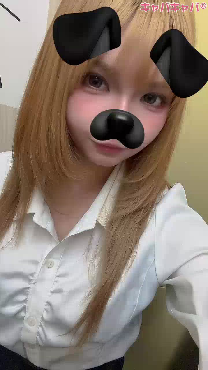 一条 葵