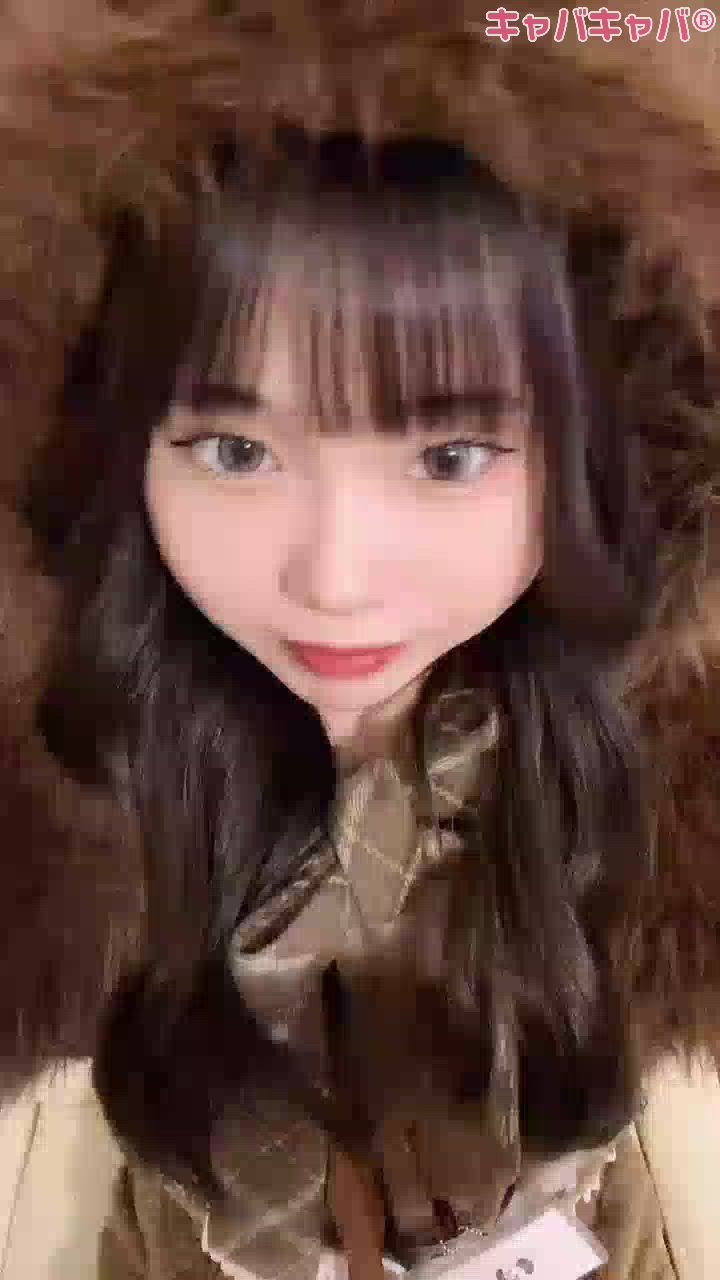 コンセプトカフェ あにまる宮殿日記1581922