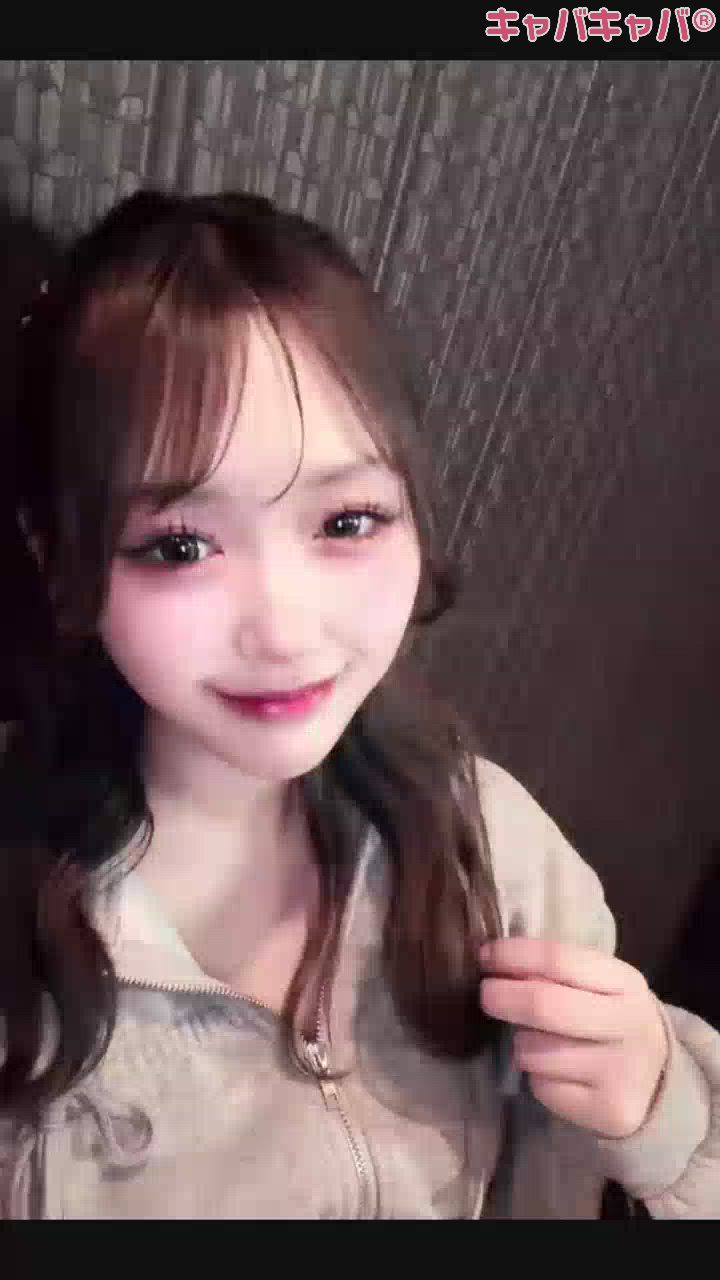 一条 葵