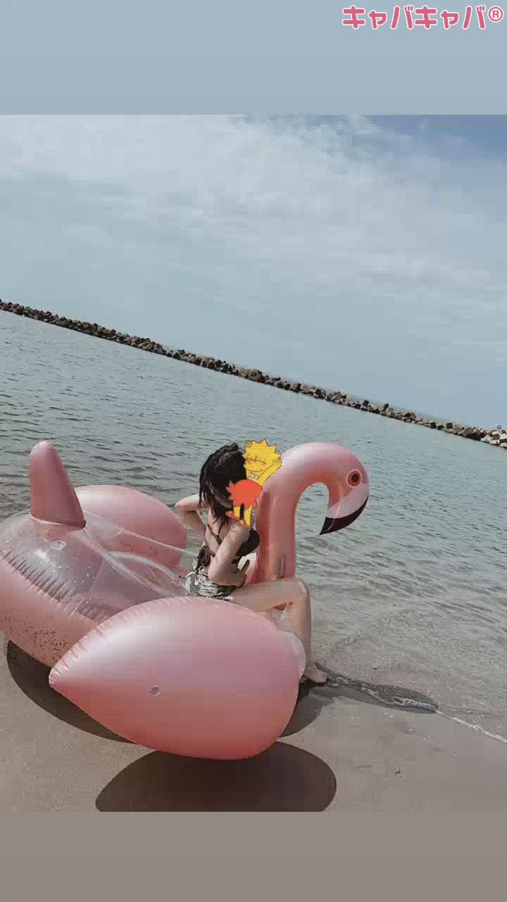 夏を取り戻そう