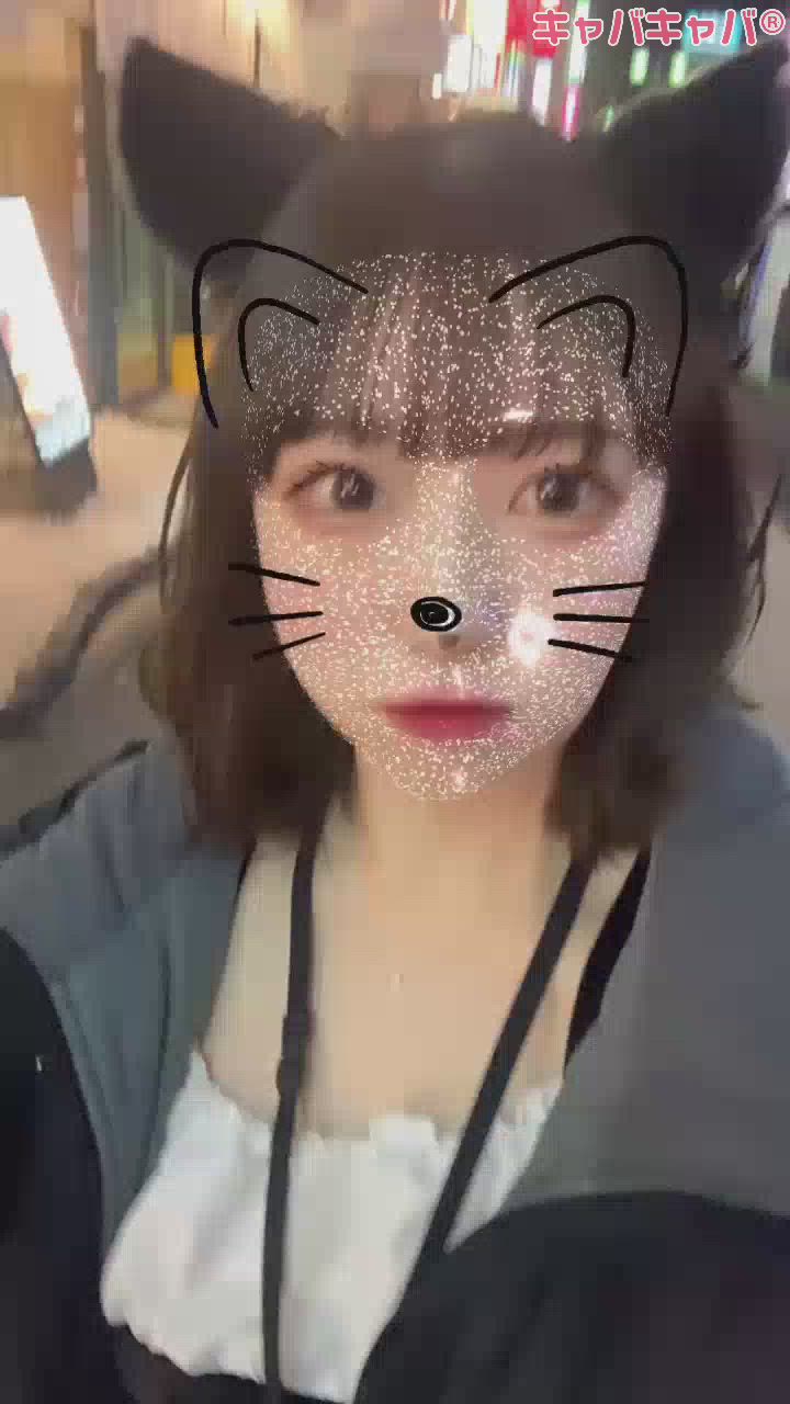 ハロウィンだにゃん🎃🦇🕸