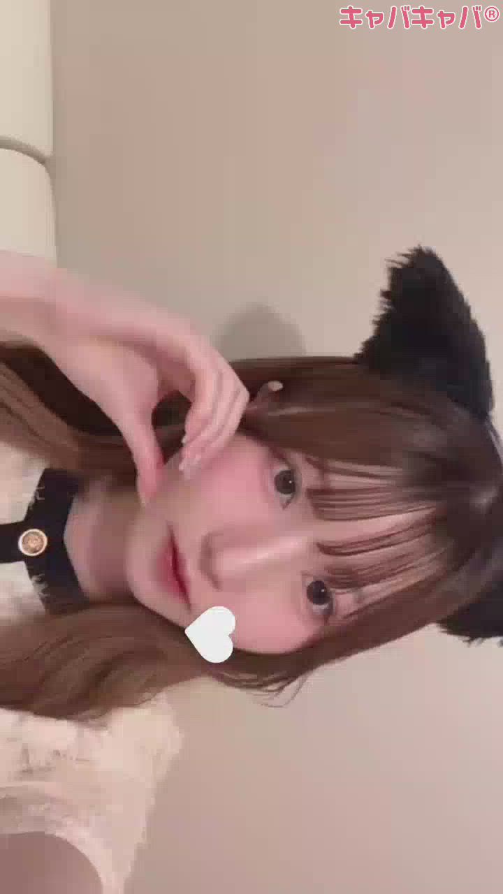 コンセプトカフェ あにまる宮殿日記1430033