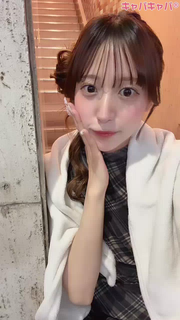 一条 葵