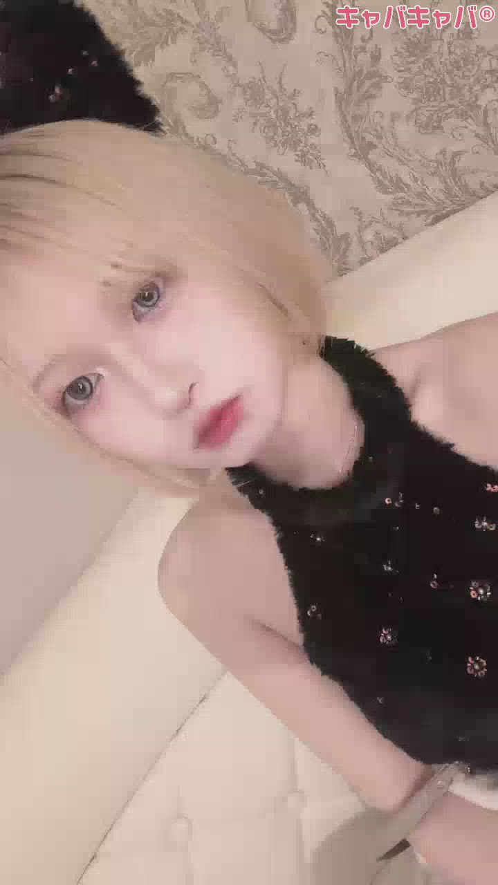 コンセプトカフェ あにまる宮殿日記1413252