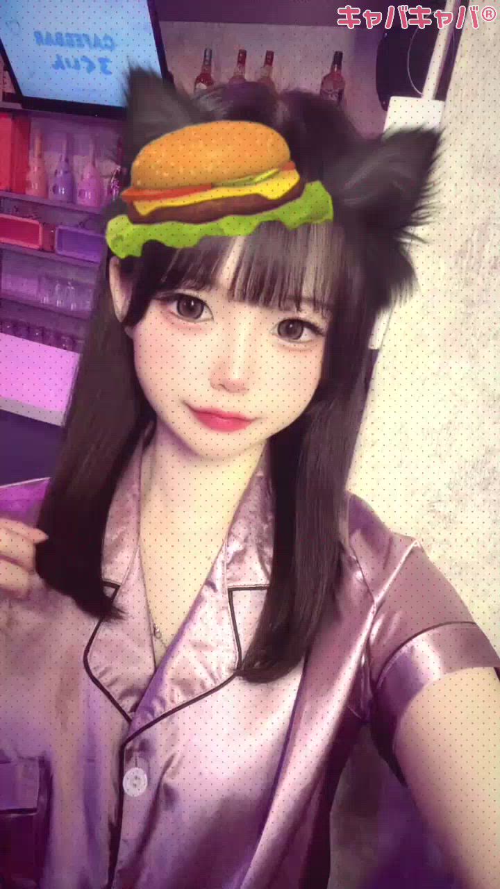 一条 葵