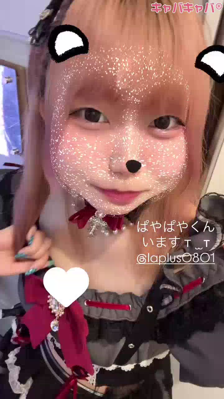 一条 葵