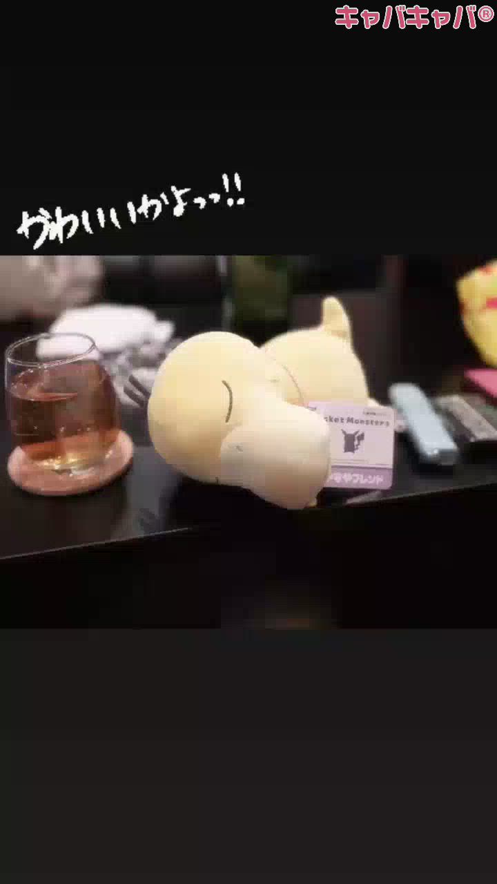 Persephone日記1549024