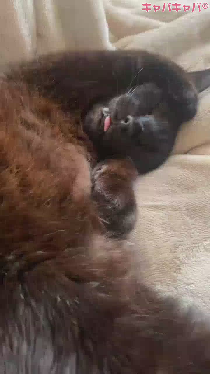 やっとゴールデンウィークが終わる