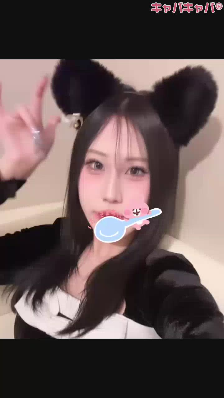 コンセプトカフェ あにまる宮殿日記1374049