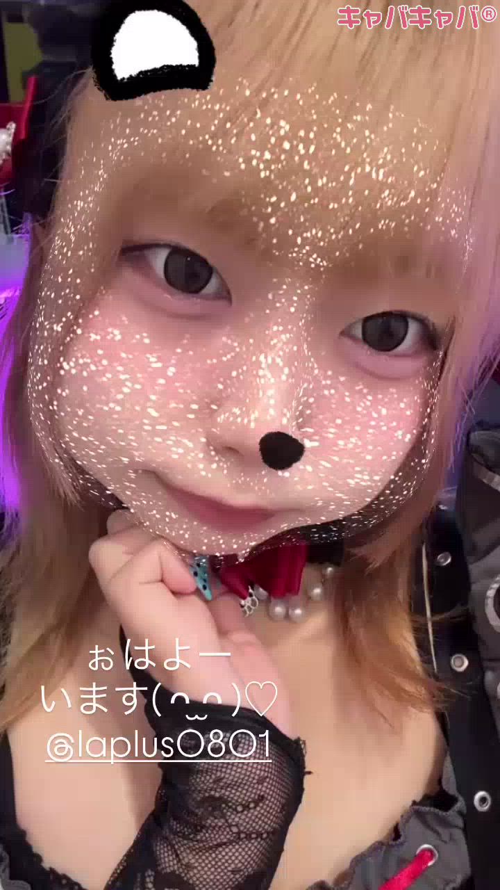 LAPLUS日記1782921