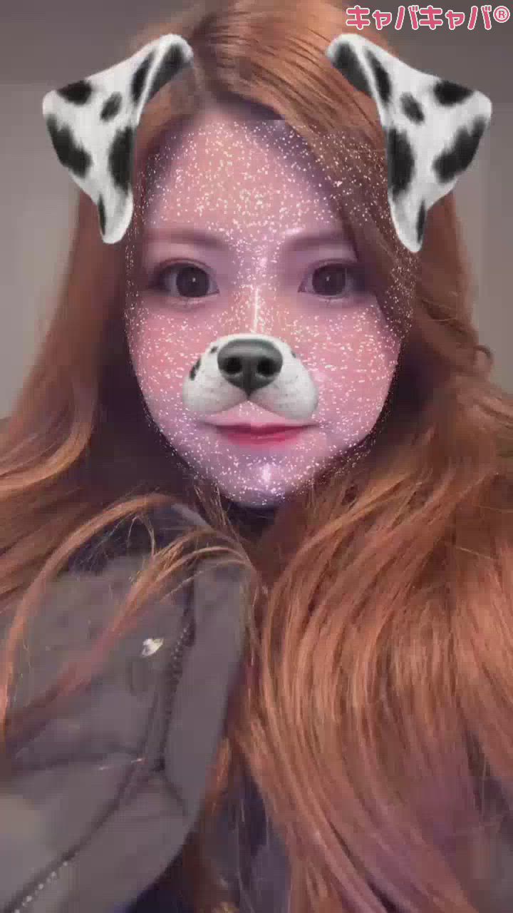 あきらめました