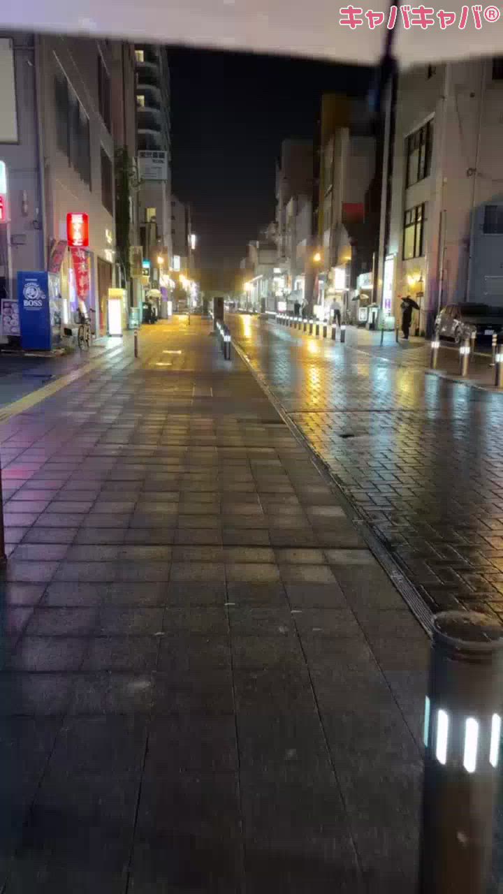 一条 葵