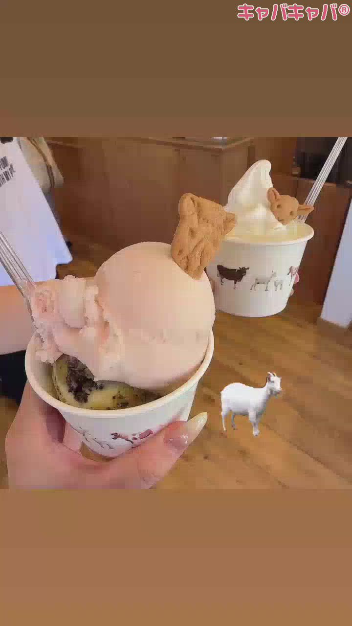 お母さん登場😳