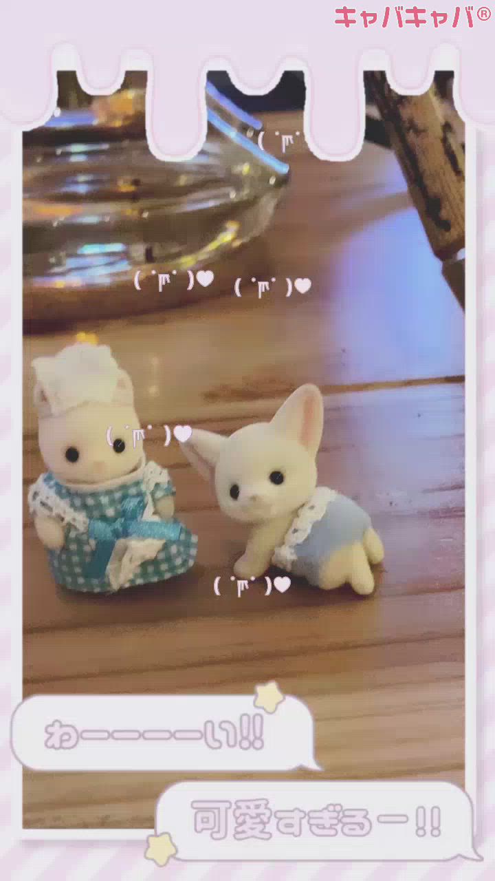 こんしゅ～～～❕