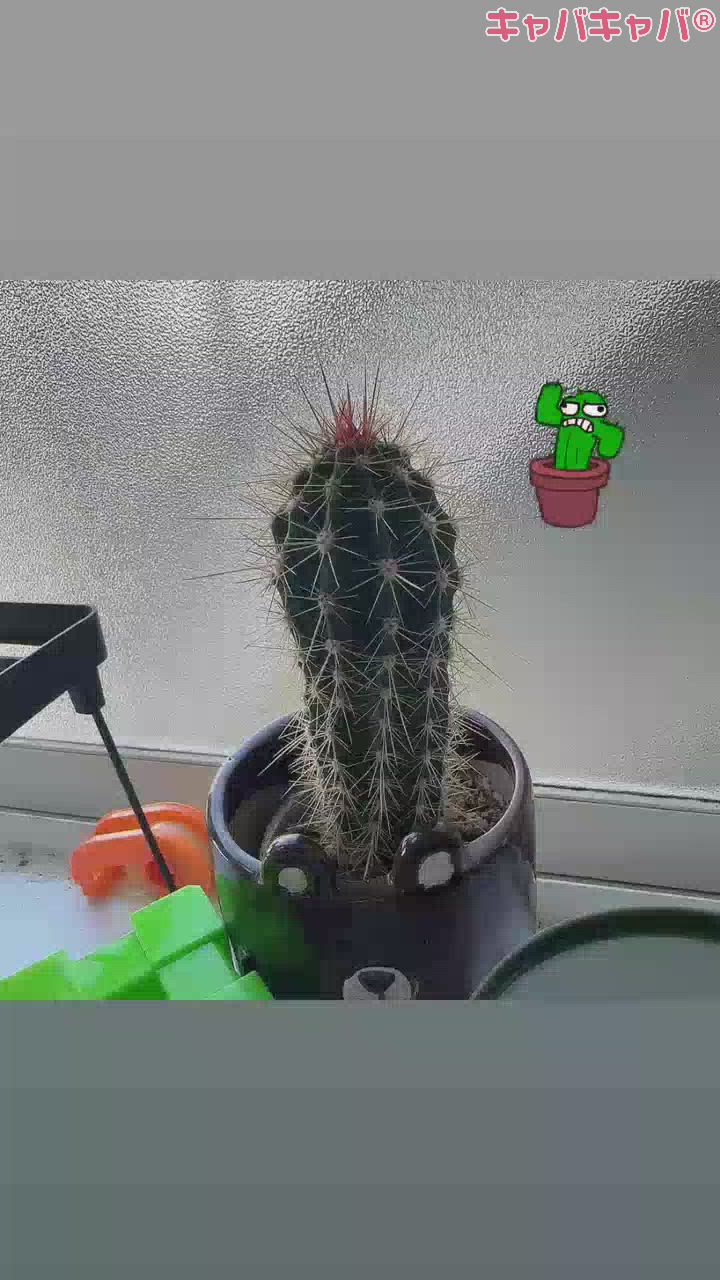 今日は店休日です🌟