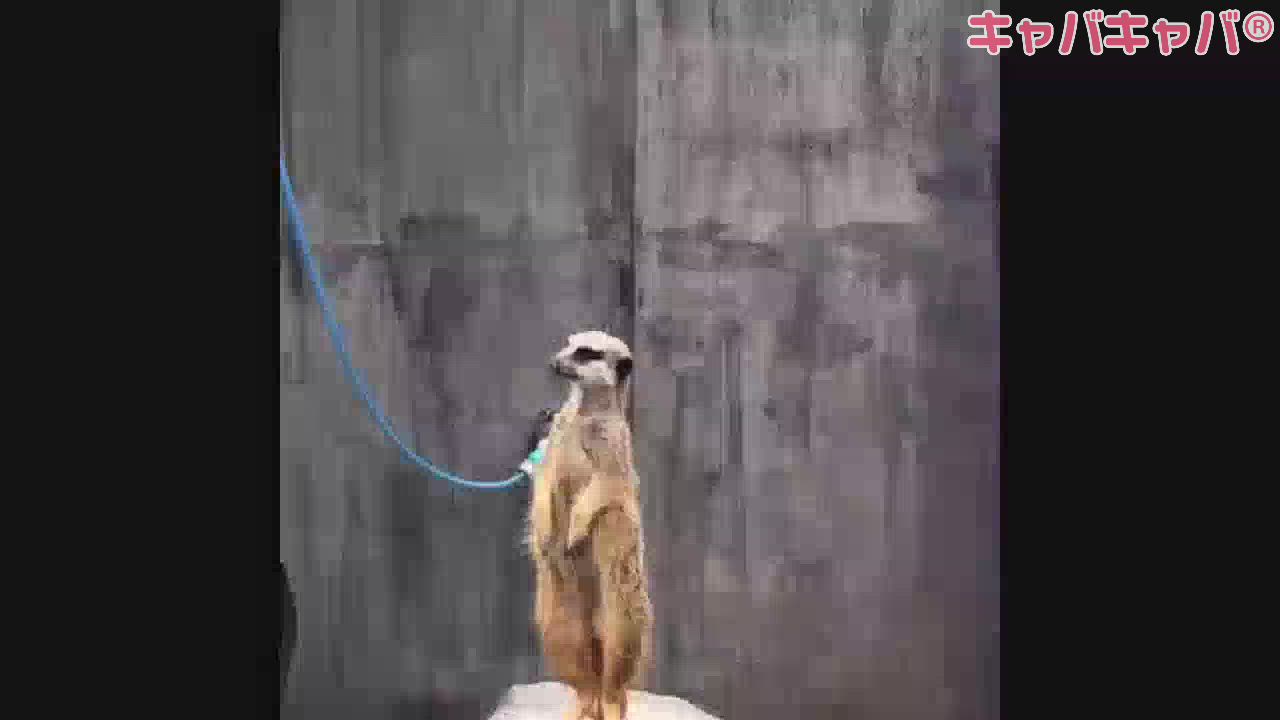 最近の私#59