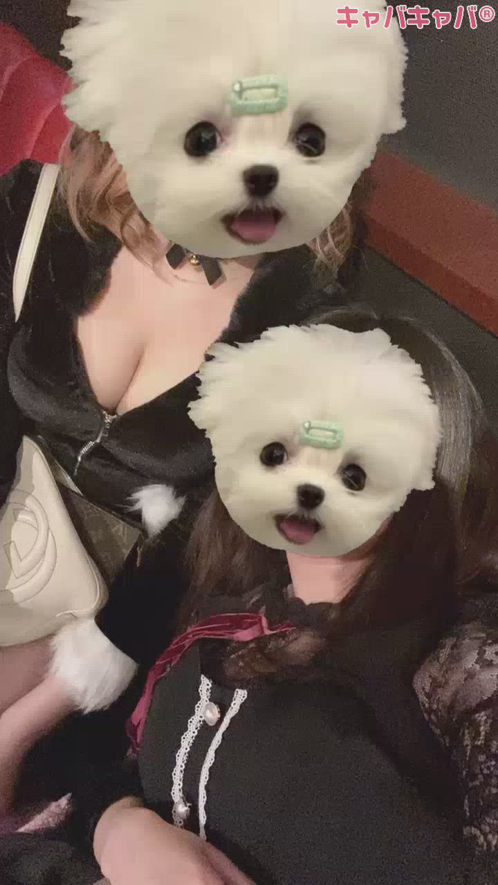 σ̴̶̷̤ . σ̴̶̷̤