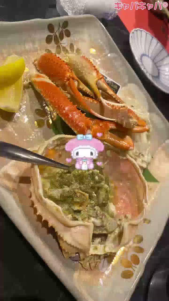 一条 葵