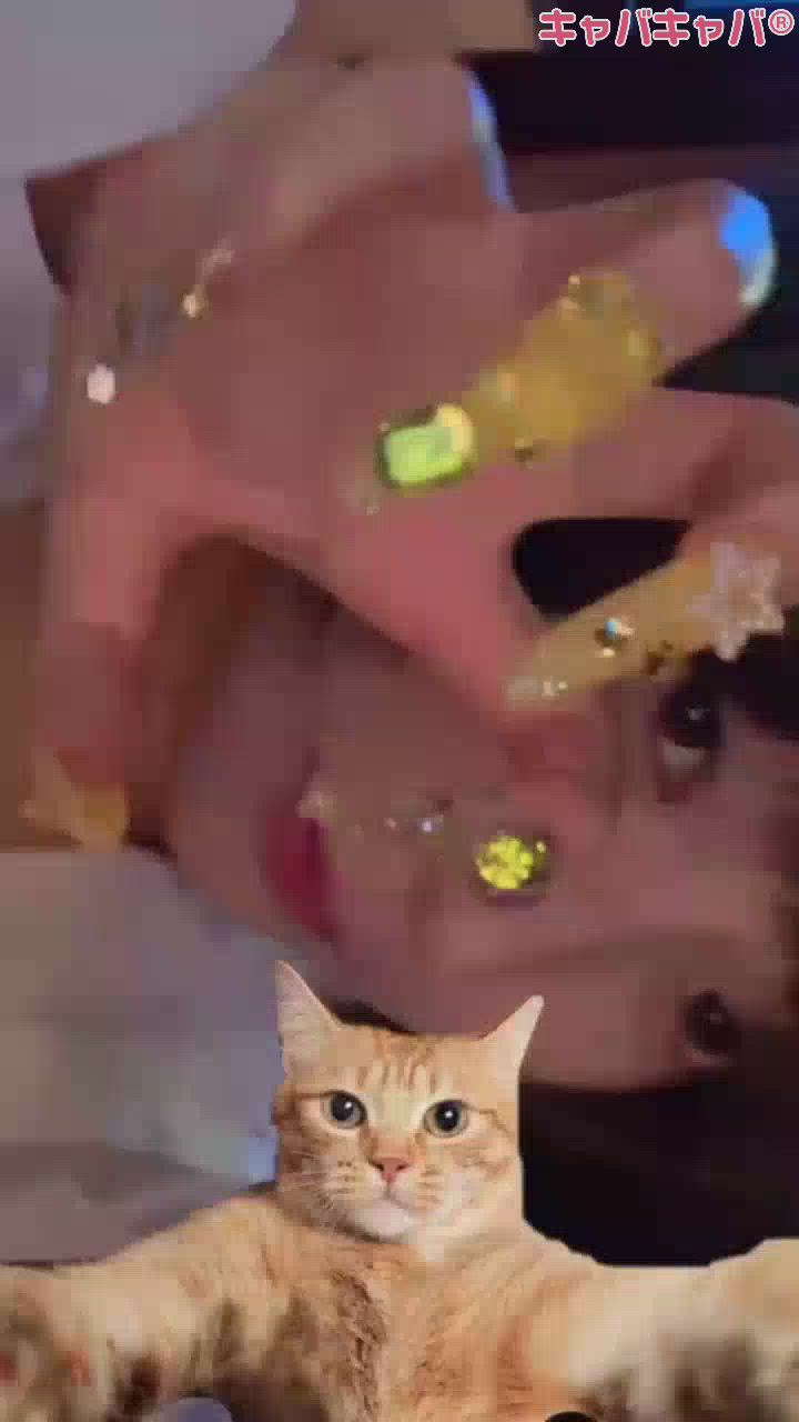 一条 葵