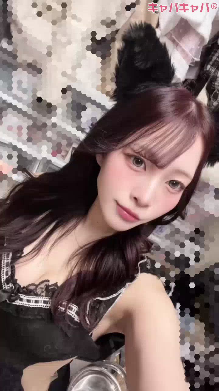 一条 葵