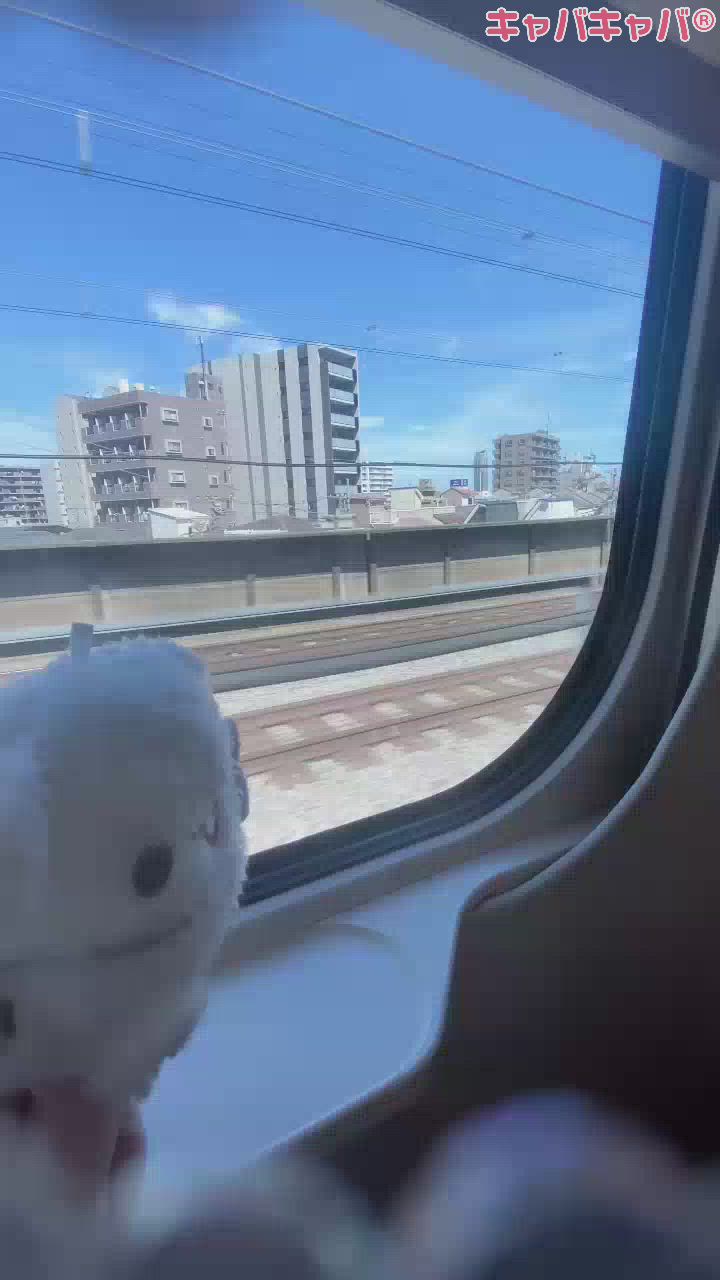 おやすみ