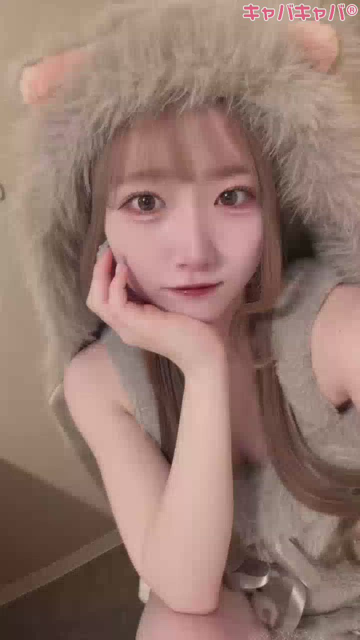 コンセプトカフェ あにまる宮殿日記1579291