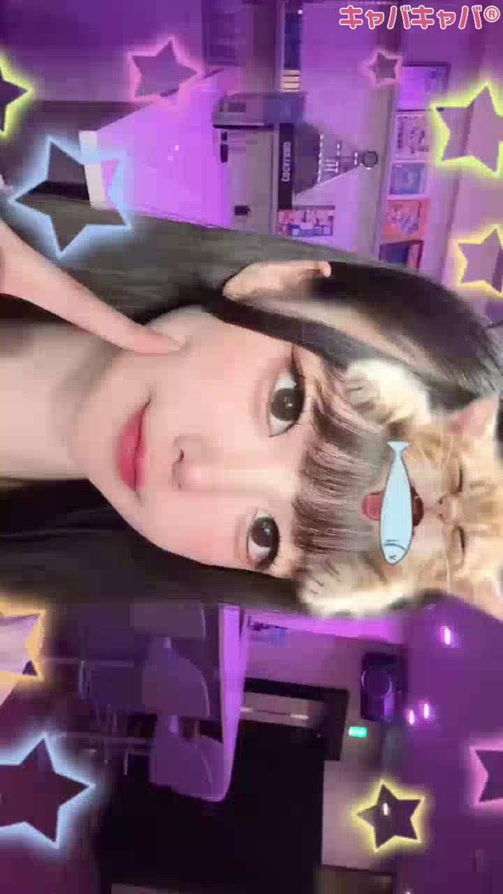 一条 葵