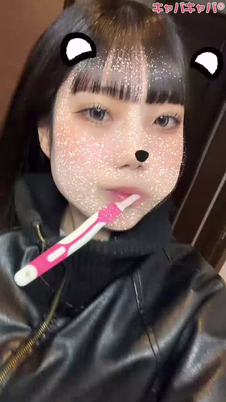 コンセプトカフェ あにまる宮殿日記1603226