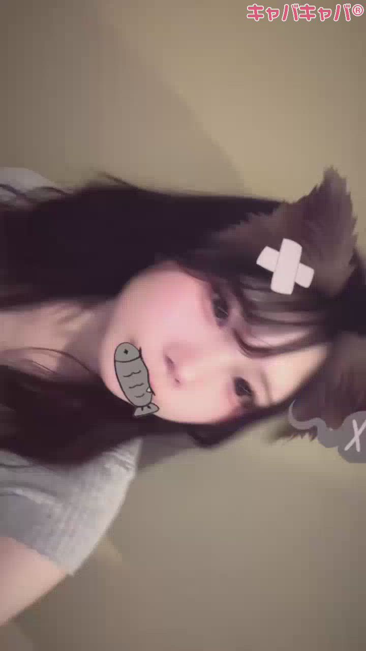 一条 葵