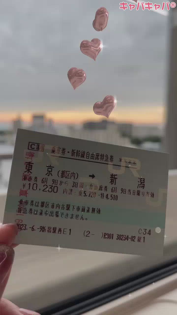 東京から新潟です