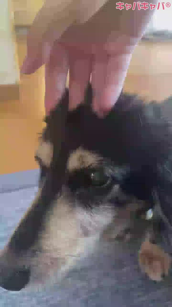 かっけえじゃん