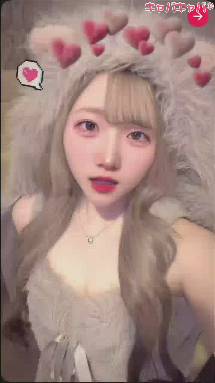 一条 葵