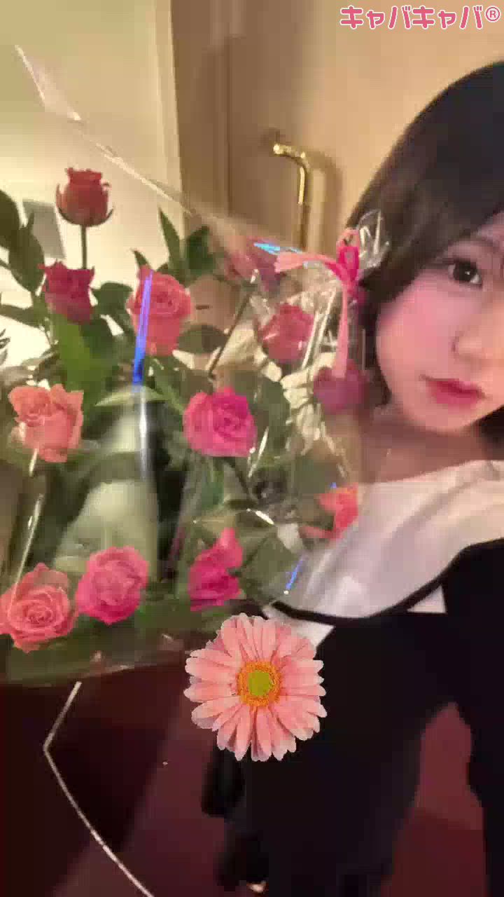 CLUB MIMOSA日記1512466