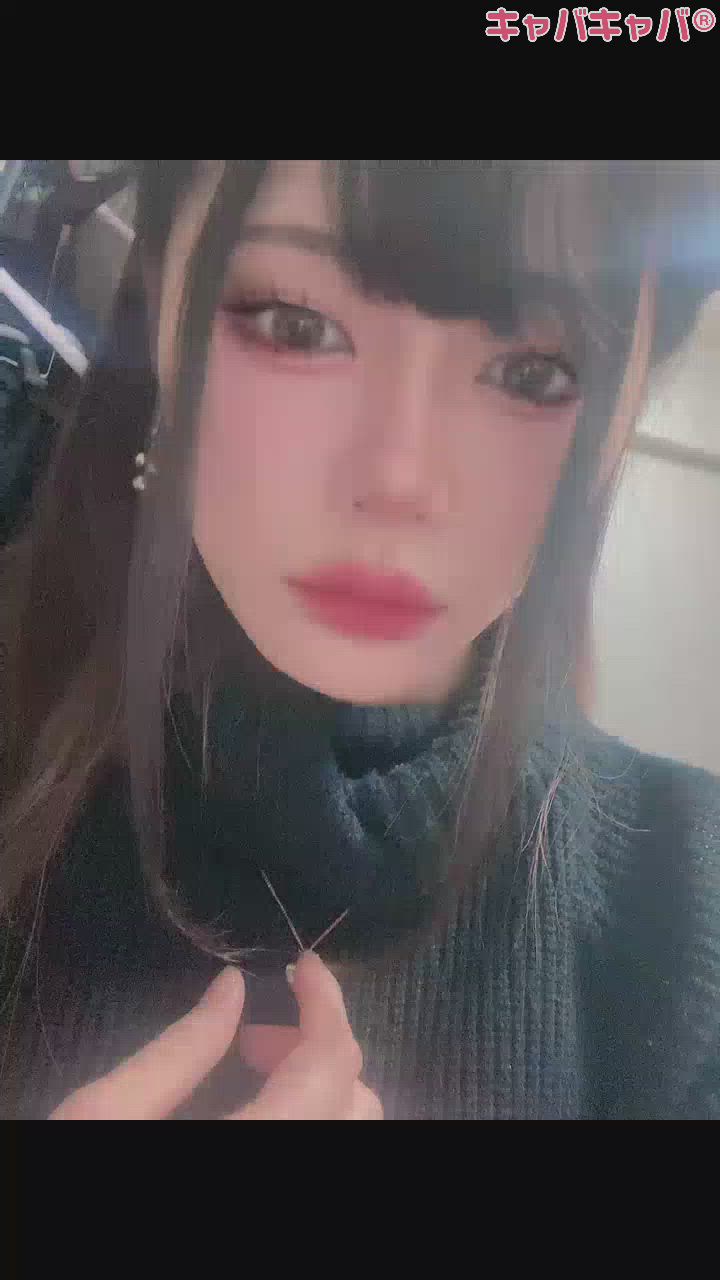 🐯ハマってしまった