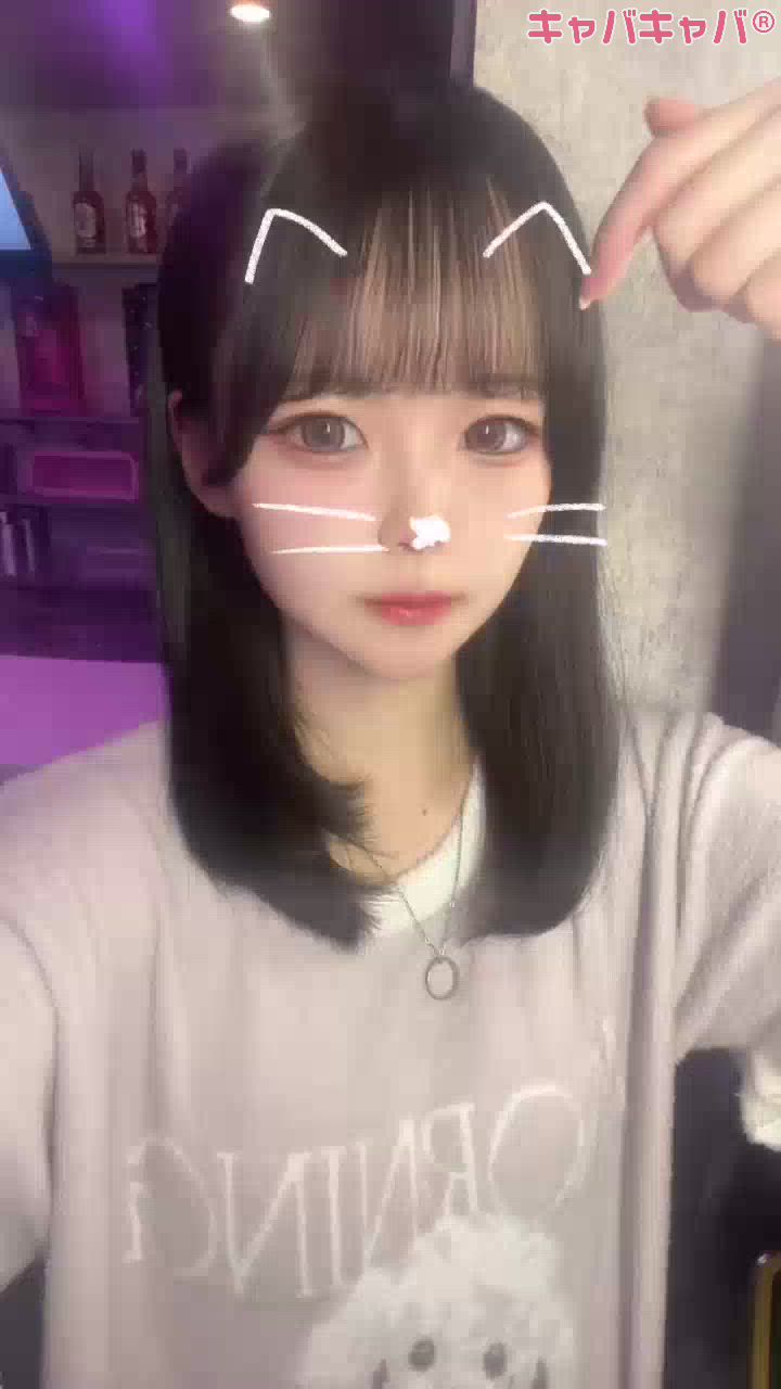 一条 葵