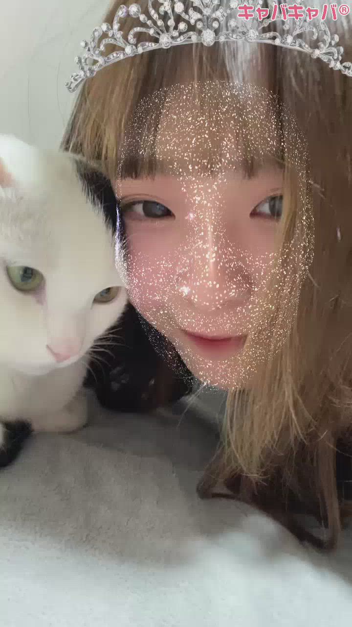 CLUB MIMOSA日記1517598