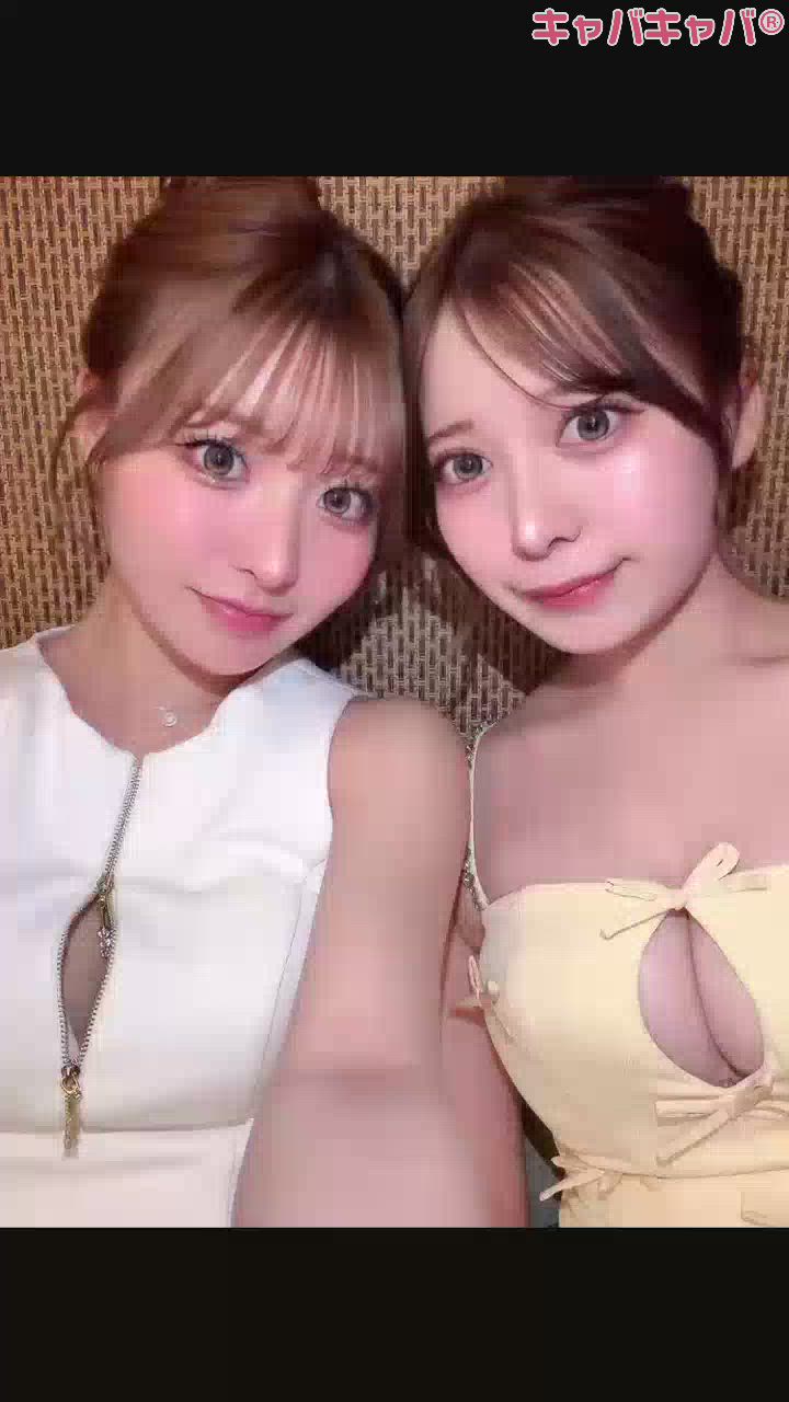 一条 葵
