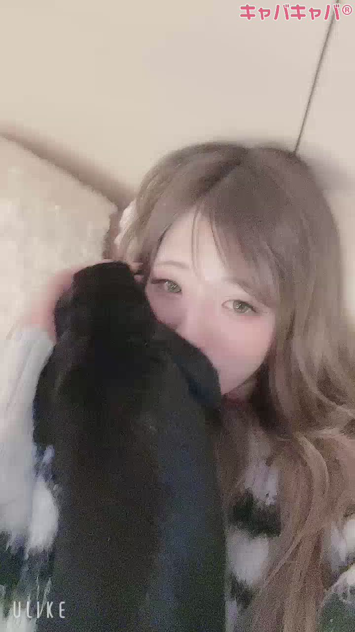仕事終わりのもふもふタイム🐰💓
