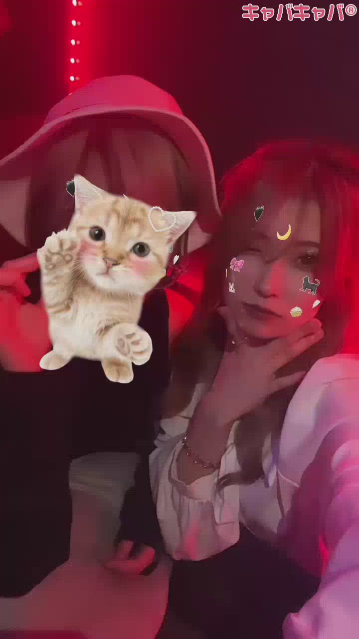 CLUB ALBATROSS日記1515778